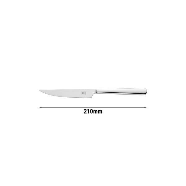 ZWILLING | Melody Steak Knife – 210 mm blade - 18/10 stainless steel - polished