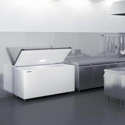 LIEBHERR | Congélateur bahut - 1885x720 mm - 542 litres - Couvercle en inox