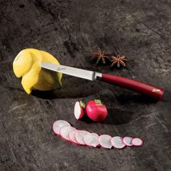 BERKEL | ELEGANCE - Steakmes - Mes: 110mm