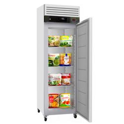 Armario congelador de acero inoxidable ECO - 600L - con 1 puerta - ventilado; desescarche automático; R290; ruedas; cerradura con llave; puerta reversible; AISI 430
