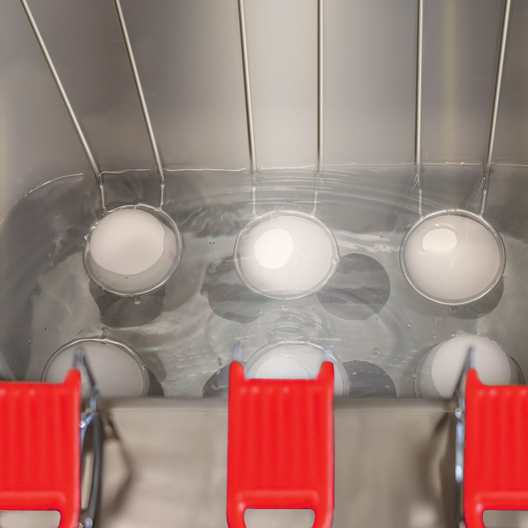 Panier à oeufs - 64x50mm - Inox - avec poignée en plastique - compatible avec EKJ6 & EKJ10 - Norme CE
