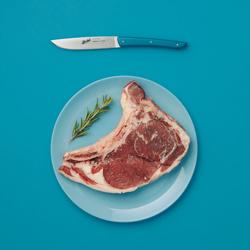 (4 stuks) BERKEL | Steakmes - Petrol blauw - Mes: 110mm