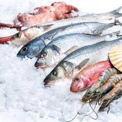 Fabbricatore di ghiaccio a scaglie - 220 kg/ 24 h - incl. contenitore per ghiaccio