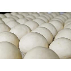 Pizzatészta gömbölyítő - pizzához és kenyértésztához - 250 W - Súlytartomány: ~80–310 g - Tésztakapacitás: 310 g - 610x560 mm - max. 500 db/ó