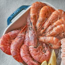 STAUB | CERAMIQUE - Bakvorm set - 3 stuks - Rechthoekig - Keramiek - Antiek turquoise