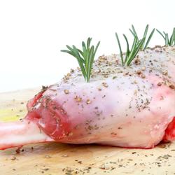 Urbeningskniv - Blad: 120 mm - rostfritt stål