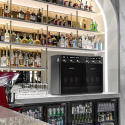 Commercial Wine Dispenser – 6 Bottles - Dual Zone - 7–18°C - Nitrogen Preservation