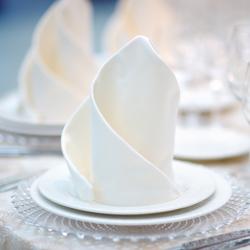 (25 pcs) Serviette de table damassée en coton Tessin Atlas - 50x50cm - Blanc