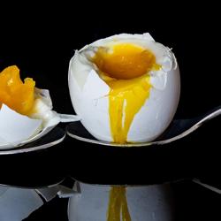 Egg Basket - 135x200mm - Stainless Steel - compatible with EKJ6 & EKJ10