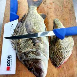 F. DICK | ErgoGrip Boning Knife – 150 mm blade - Flexible - X50CrMoV15 - Blue handle - NSF