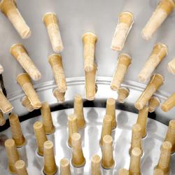 (233) Poultry Plucker for Chicken - Drum Ø 80cm