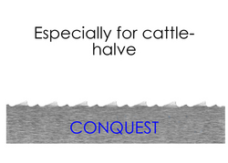 (5 piezas) hoja de sierra Conquest - 2,4 m - dentado 10 mm