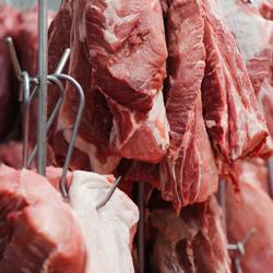 (24 pezzi) Gancio per carne per l'armadio di frollatura della carne - lunghezza 12 cm	