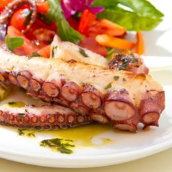 Bain-marie sous vide Professionnel - max.50L - 2,1kW