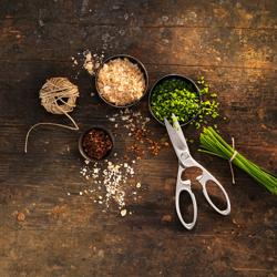 ZWILLING | TWIN SELECT - Forbici multiuso - 200 mm