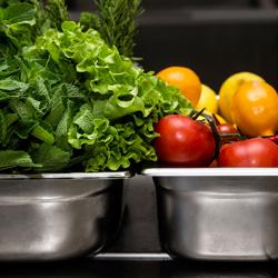 Frigorifero in acciaio inox ECO - 600 litri - con 1 porta