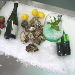 Flockeneisbereiter - 50 kg/ 24h