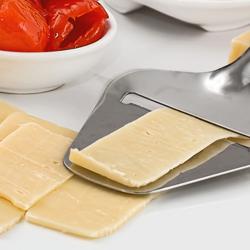 Cheese slicer – Stainless Steel - Cheese Plane - Dishwasher Safe
