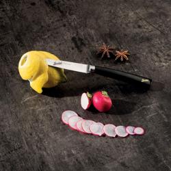 BERKEL | Elegance Steak Knife – 11 cm - Gloss Black Resin Handle