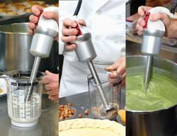 Mixeur plongeant professionnel - avec pied fixe - pied 200mm - 250 W - 2 vitesses