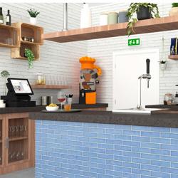 Presse-agrumes électrique - Orange - Alimentation automatique en fruits         