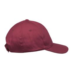 Pet - bordeaux