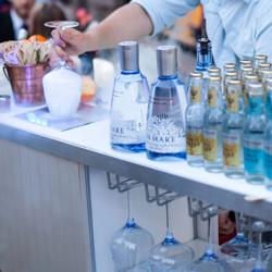 Escarchador de copas y vasos instantáneo de CO2 - con LED