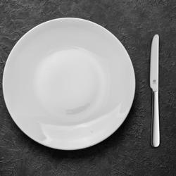 ZWILLING | SWING – nóż stołowy – 220 mm – polerowany