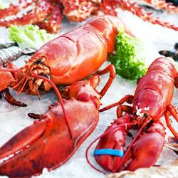 Commercial built-in ice well - 1500 mm - 4 x GN 1/1 - with glass sneeze guard