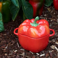 STAUB | CERAMIQUE - Kookpot - Paprikavorm - Ø 110mm - Keramiek - Oranje-Rood