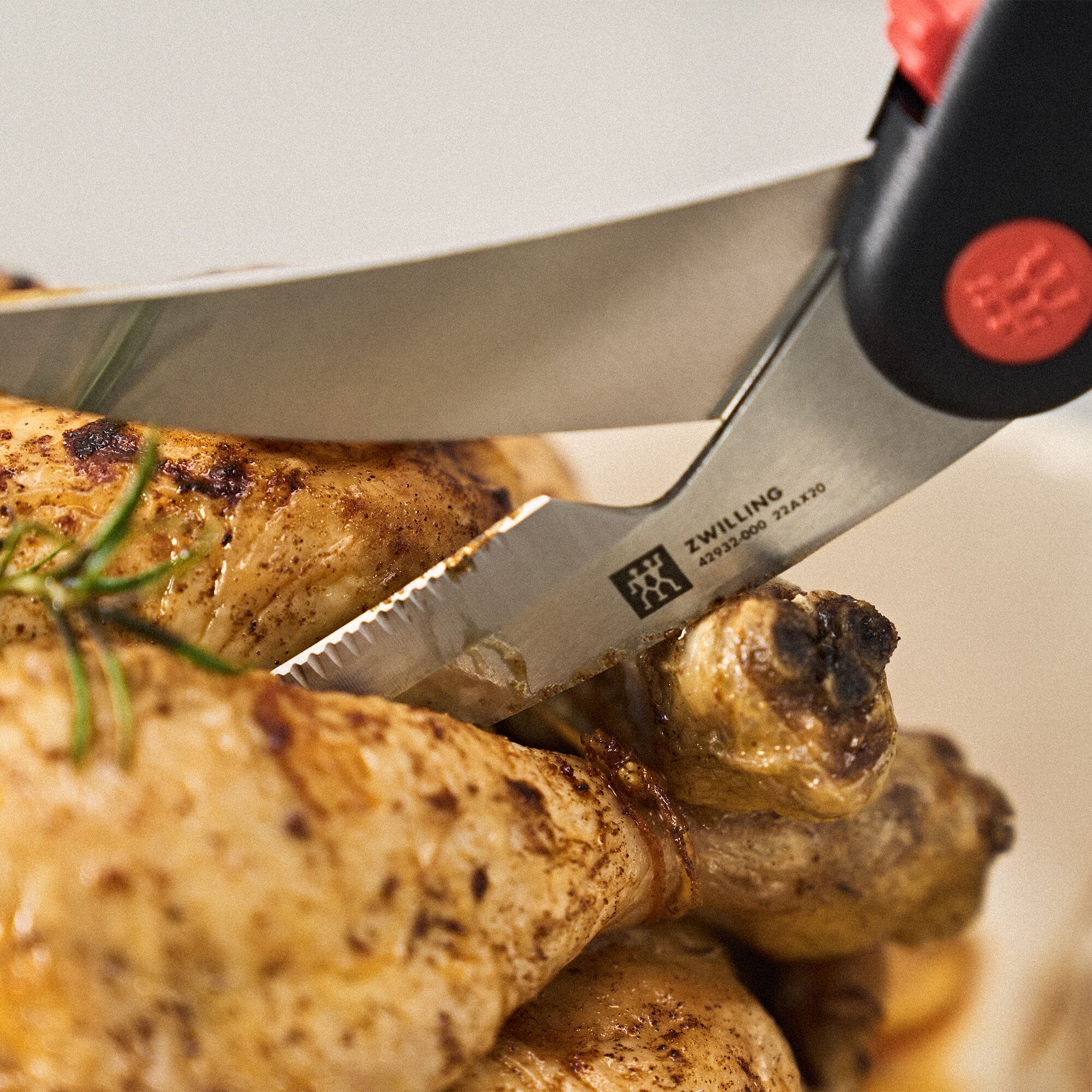 ZWILLING | Ciseaux à volaille – 250 mm – plastique