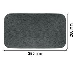 (2 adet) SELTMANN WEIDEN | Coupe tabak - düz dikdörtgen - 350x200 mm - antrasit
