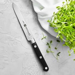 ZWILLING | Professional S Utility Knife – FRIODUR Hardened Blade - 130 mm - Made in Germany