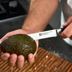 ZWILLING | VIER STERNE - universalkniv - Blad: 130mm