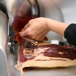 Skärmaskin - snedställd - Klinga Ø 220 mm - 120 W