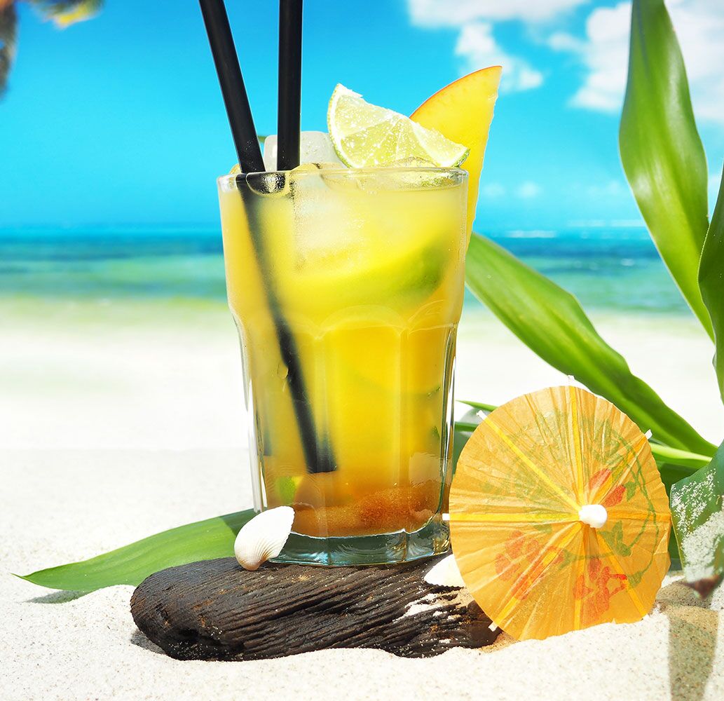 (24 pièces) Verre long drink - CASABLANCA - 410 ml