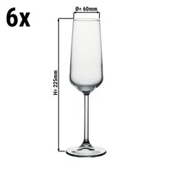 (6 szt.) Kieliszek do szampana - Allegra - 195ml - Transparentny - do zmywarki; z oznaczeniem CE; zestaw 6 szt.