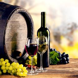 Lodówka na wino - 2 strefa klimatyczna - 800L - maks. 144 butelek