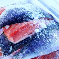 Fischkühlschrank Edelstahl PREMIUM - 400 Liter - mit 1 Tür