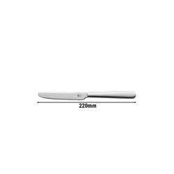ZWILLING | Swing Dinner Knife – 220 mm - Polished - 18/10 Stainless Steel
