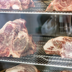 Dry Aging Komora za suho dozrijevanje mesa - 680 mm - Sa 1 staklenim vratima - Crna