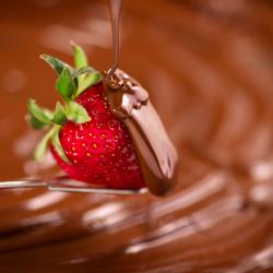 Distributeur de chocolat chaud professionnel - 5kg - 0,95kW - avec 1 robinet de service