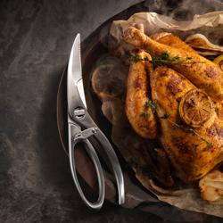 ZWILLING | TWIN SELECT - Cesoie per pollame - 235 mm