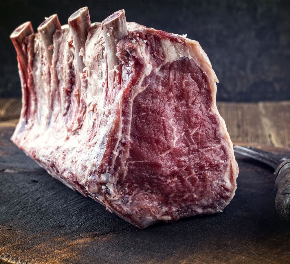 Armoire de maturation de viande Dry Aging - 1000 x 690 mm - avec 2 portes en verre