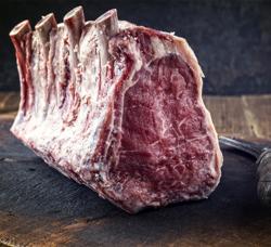 Dry Aging Fleischreifeschrank - 1000mm - 2 Glastüren - Schwarz