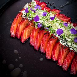 GEMELO | TANREI - cuchillo para carne - hoja: 230mm