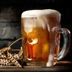 Comptoir à bière Premium PLUS - 1550x700mm - 4 tiroirs