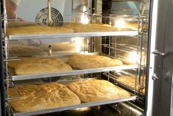 Forno de convecção (manual) inclu. suporte 6x EN 60 x 40 cm