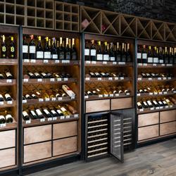 Cave de vinhos Profissional - Aço com revestimento plástico - 1 zona de temperatura - 120 litros - até 52 garrafas