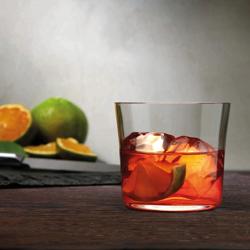 (24 adet) Viski Bardağı - ESPRIT - 295 ml